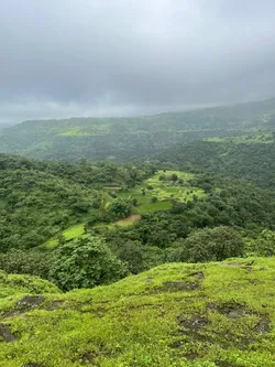 Karnavadi