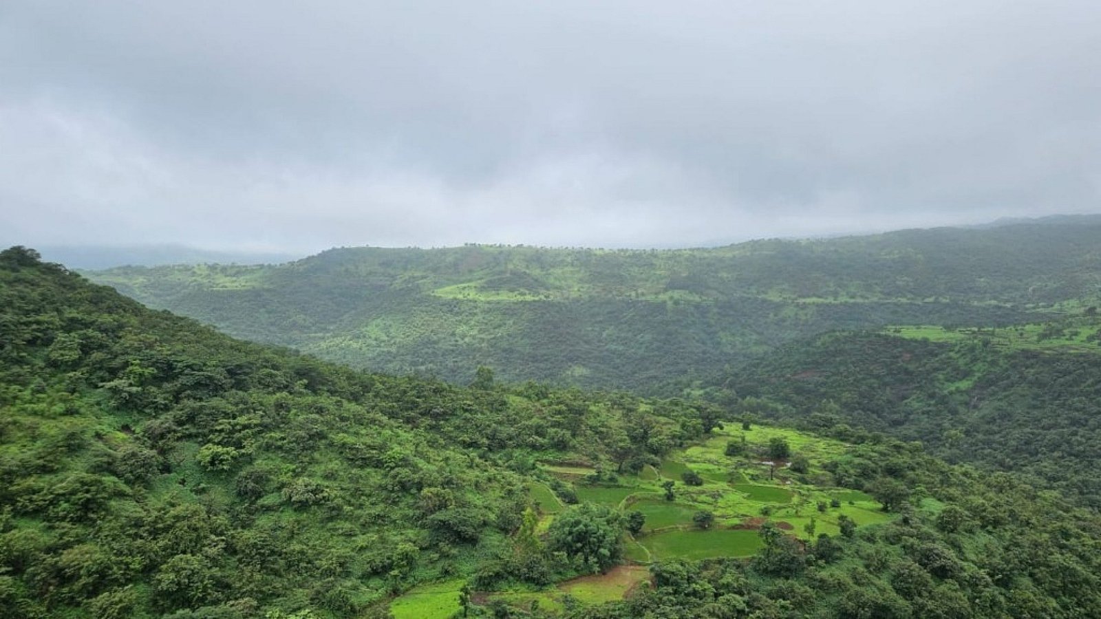 Naturesabode Landscape 3