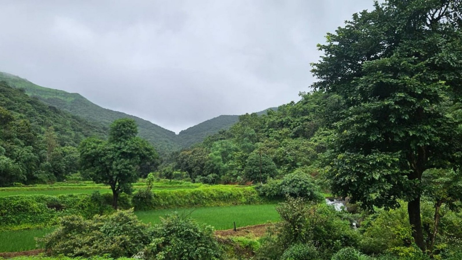 Naturesabode Landscape 5